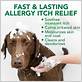 skin allergies for dogs