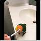 parrot and electric toothbrush