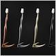 reinast titanium luxury toothbrush