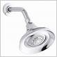 1.0 gpm shower head