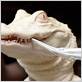 albino alligator toothbrush