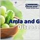 amla powder gum disease