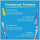 amount of toothpaste on toothbrush