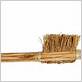 ancient egypt toothbrush