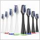 aquasonic duo toothbrush replacement heads