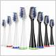 aquasonic toothbrush replacement heads