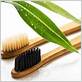 are bamboo toothbrushes better for the environment