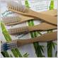 are bamboo toothbrushes biodegradable