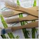 are bamboo toothbrushes compostable