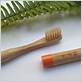 are bamboo toothbrushes sanitary