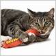 are dental chew toys safe for cats