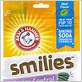 arm & hammer dental brushies tartar control dog chews 8-count