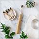 bamboo electric toothbrush review