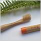 bamboo toothbrush and toothpaste