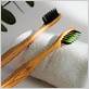 bamboo toothbrush recycle