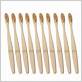 bamboo toothbrush with bamboo bristles