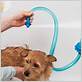 bathtub hose for washing dog