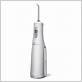 battery operated water flosser