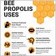 bee propolis benefits for gum disease
