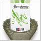 benebone mint dental chew