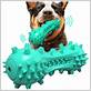 best chew toys for dental health