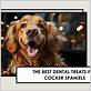 best dental chews for cocker spaniels