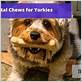 best dental chews for yorkie puppy