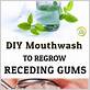best homemade mouthwash for gum disease