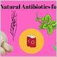 best natural antibiotic for canine gum disease