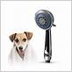 best shower head for dog washing