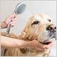 best way to wash a dog