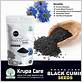 black seed powder cure gum disease