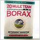 borax for gum disease