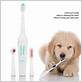 brushing dogs teeth electric toothbrush