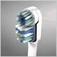 brushpoint replacement toothbrush heads