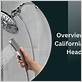 california shower head law