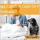 can a dog catch flu from human