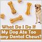 can a dog eat too many dental chews
