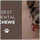 can dogs choke on dental chews