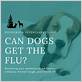 can dogs get flu a from humans
