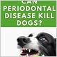 can gum disease kill a dog