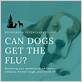 can humans get dog flu