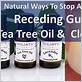 can tea tree oil reverse gum disease