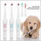 can u use electric toothbrush on dogs