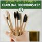can you compost bamboo toothbrushes