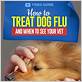 can you give the flu to your dog