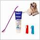 can you use a regular toothbrush for dogs