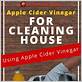 can you use apple cider vinegar to clean shower head