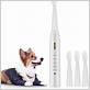 can you use electric toothbrush on dog