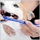 canine care toothbrush